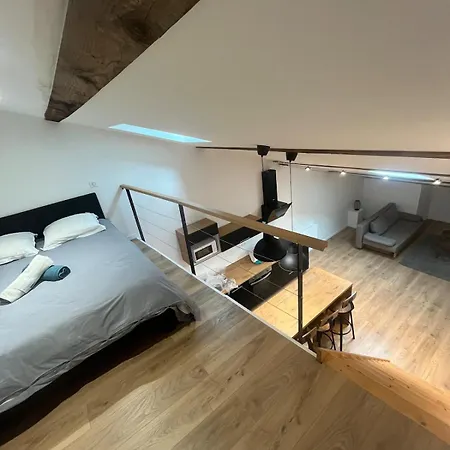 Appartement Loft Du Rocher Saint Joseph *